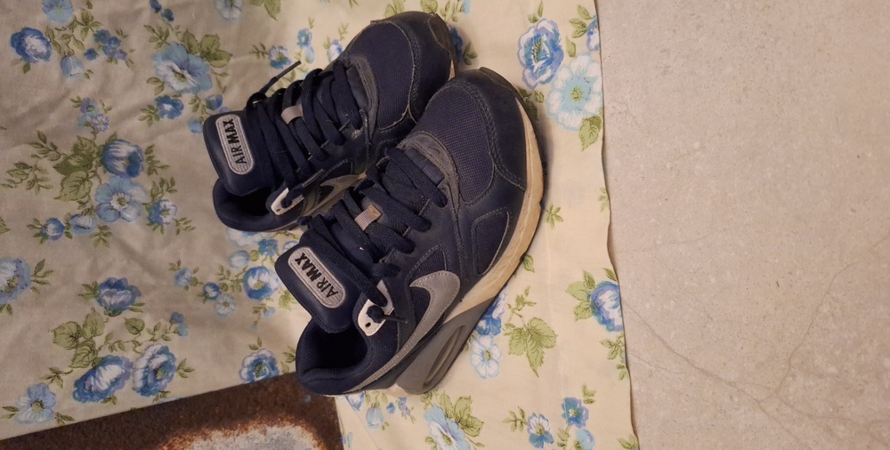 Nike Air Max Navy Sneakers